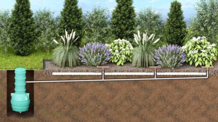 Pluvia Drain paskirstymo sistema